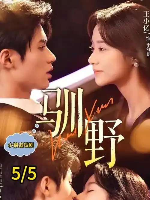 深夜短剧《电梯里的三分钟》海报